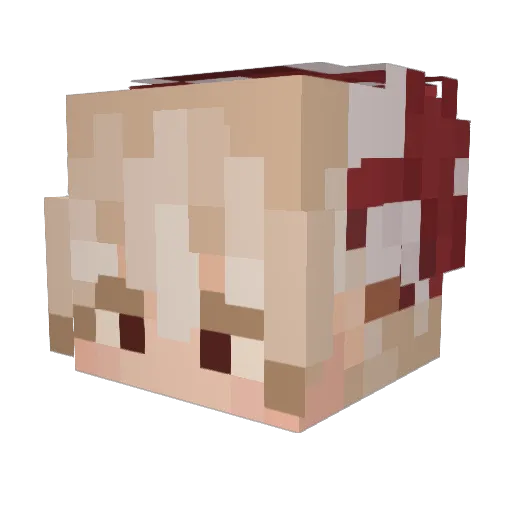 BobsBugsBeGone01 Minecraft avatar head, 3D render