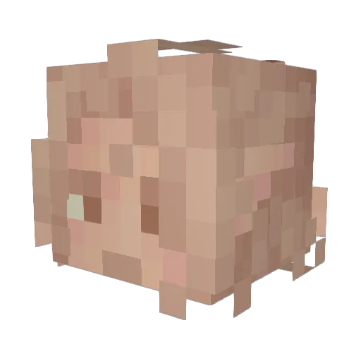 BobsPlayer Minecraft avatar head, 3D render