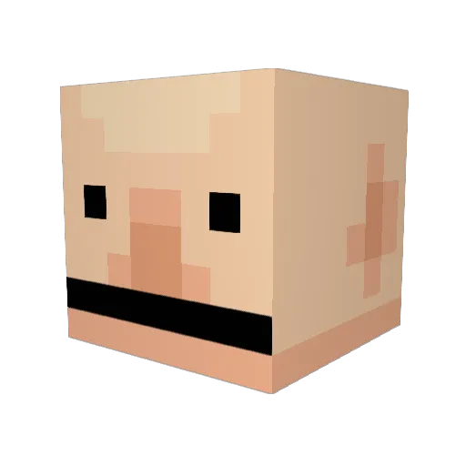 BobusTheBig Minecraft avatar head, 3D render