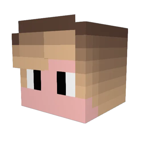 Boby200 Minecraft avatar head, 3D render