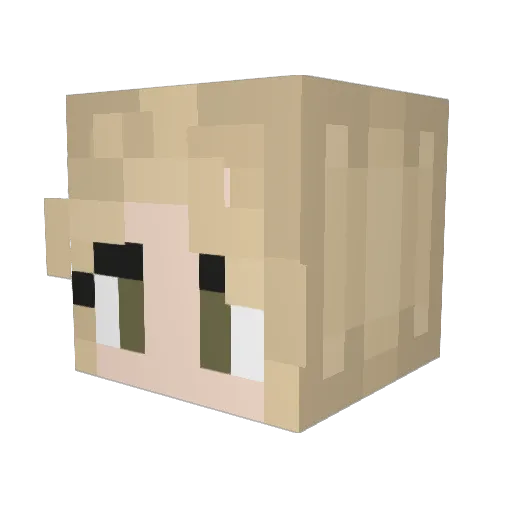 Boda301 Minecraft avatar head, 3D render