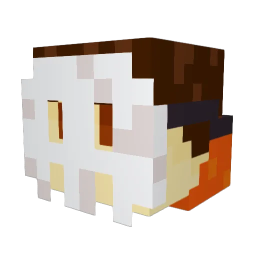 Bodder08 Minecraft avatar head, 3D render