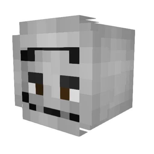 Bodelmao Minecraft avatar head, 3D render