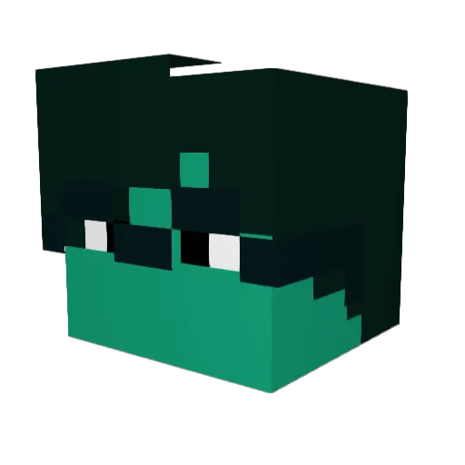 Bodhi001 Minecraft avatar head, 3D render