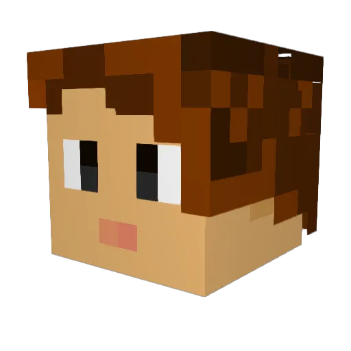 Bodie_Bode Minecraft avatar head, 3D render