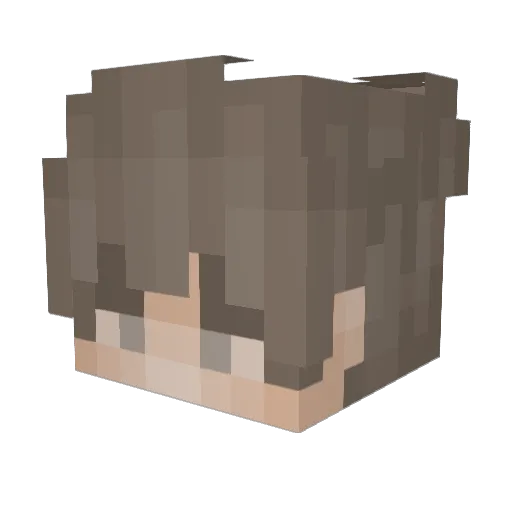 BodyFluid Minecraft avatar head, 3D render