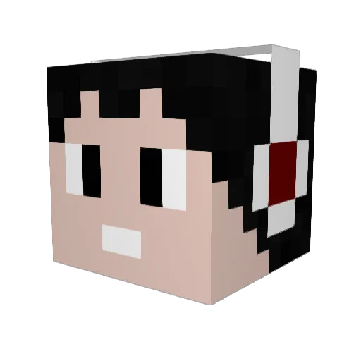 BodyOLP Minecraft avatar head, 3D render