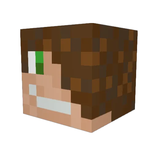 Bodza302 Minecraft avatar head, 3D render