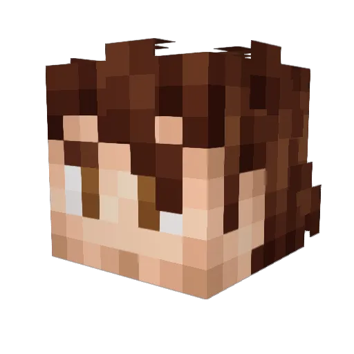 BoeDoc Minecraft avatar head, 3D render