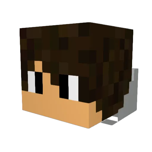 Boef030 Minecraft avatar head, 3D render