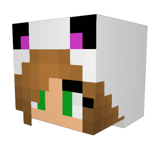 Boehnchen2005 Minecraft avatar head, 3D render