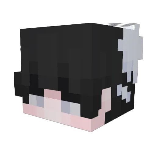 Boenkie Minecraft avatar head, 3D render