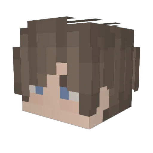 BoerOpNPlaas Minecraft avatar head, 3D render