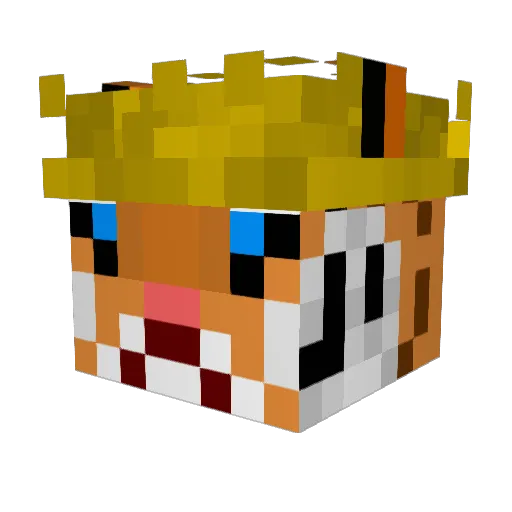 BoerTijger Minecraft avatar head, 3D render