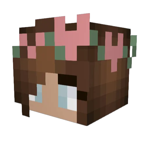 Boer_Fabian Minecraft avatar head, 3D render