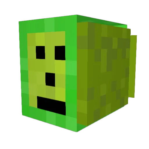 Boer_sjarel Minecraft avatar head, 3D render