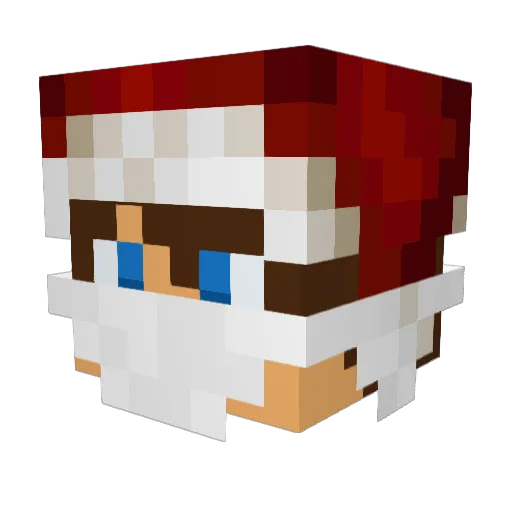 Boerni420 Minecraft avatar head, 3D render