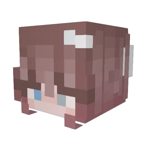 BoesBoes102 Minecraft avatar head, 3D render
