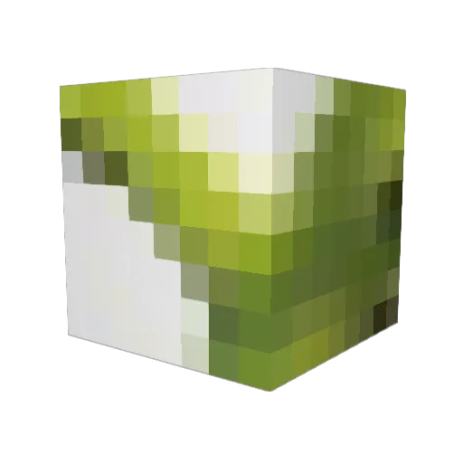 BofaNuts Minecraft avatar head, 3D render