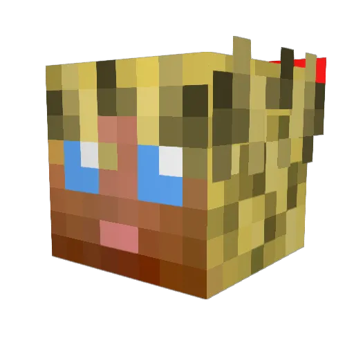 Boffler Minecraft avatar head, 3D render