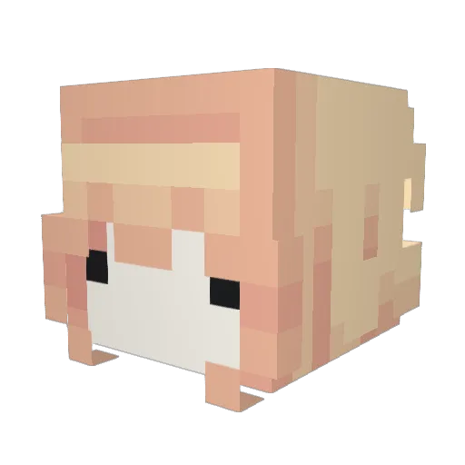 Bofinks Minecraft avatar head, 3D render