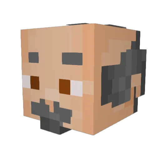 BofoCat_22 Minecraft avatar head, 3D render