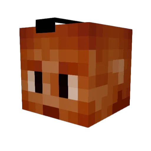 Bog53 Minecraft avatar head, 3D render