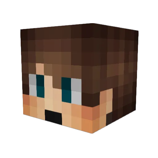 BogPvP_Minecraft Minecraft avatar head, 3D render