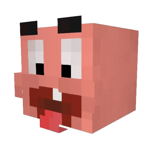 Bog_eo Minecraft avatar head, 3D render