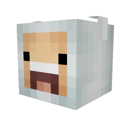 Boga Minecraft avatar head, 3D render