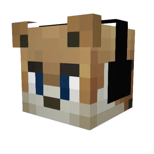 Bogdan1110 Minecraft avatar head, 3D render