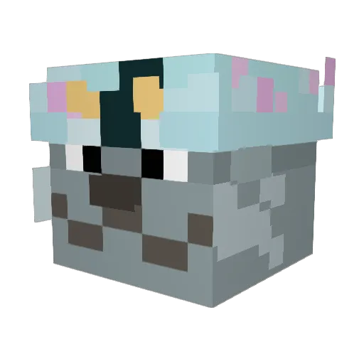 Bogdan_Is_Sealy Minecraft avatar head, 3D render