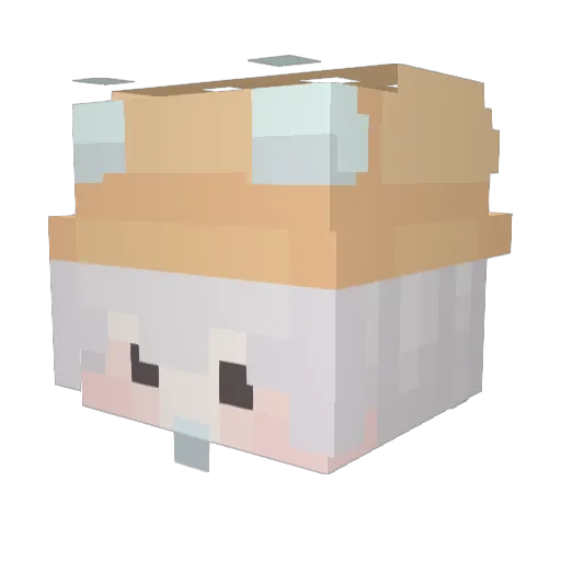 Boge98 Minecraft avatar head, 3D render