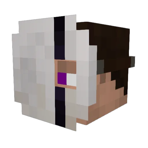 Bogem_ Minecraft avatar head, 3D render