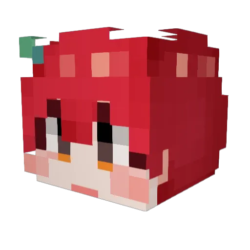 BogeyedCoder261 Minecraft avatar head, 3D render