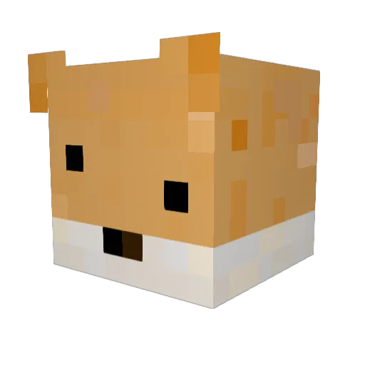 BogeyedOsprey65 Minecraft avatar head, 3D render