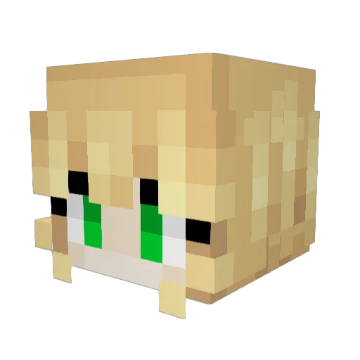 Bogg2412 Minecraft avatar head, 3D render