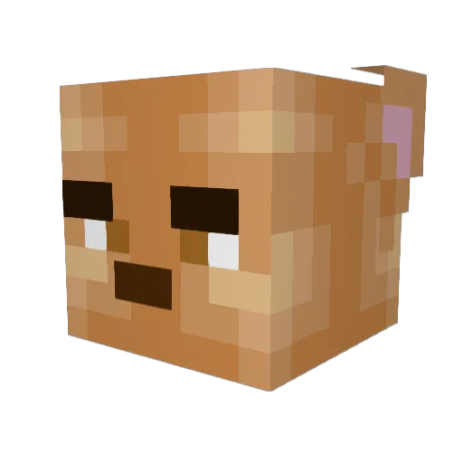 BoggleBop Minecraft avatar head, 3D render