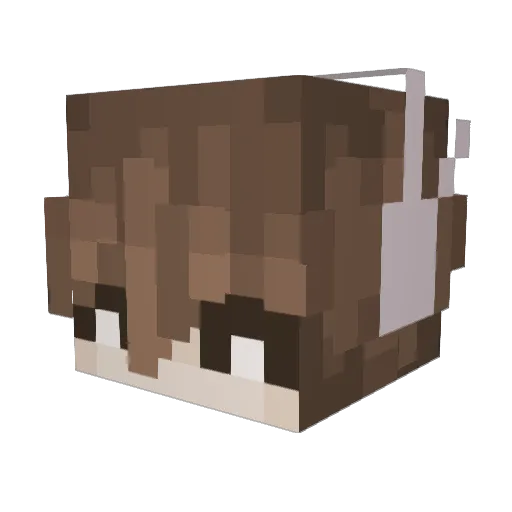 BoggyFrJR Minecraft avatar head, 3D render
