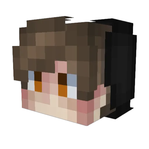 Bogo69420 Minecraft avatar head, 3D render