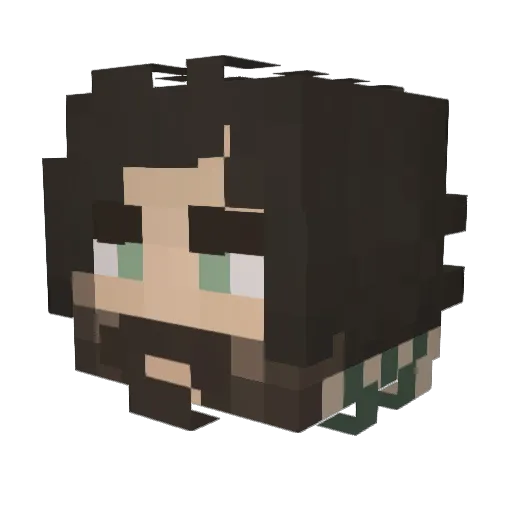 Bogs_Binny Minecraft avatar head, 3D render