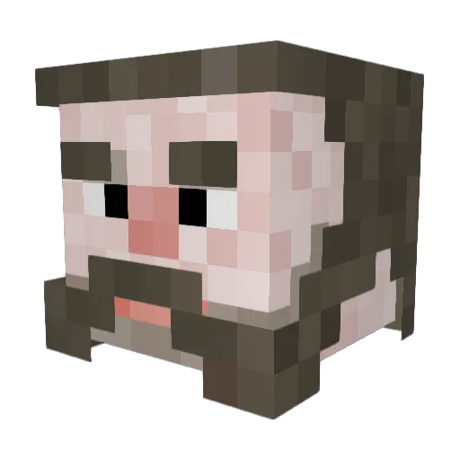 Bogseri Minecraft avatar head, 3D render