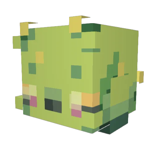 Bogsnort Minecraft avatar head, 3D render
