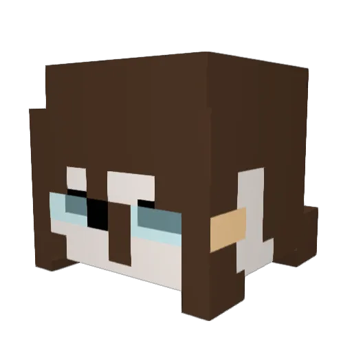 Bogus_Releaser Minecraft avatar head, 3D render