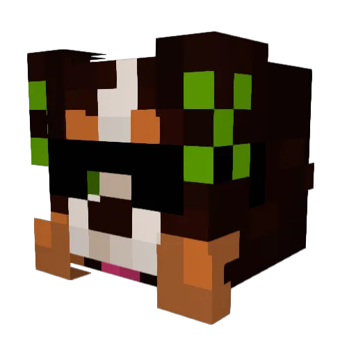 Bohdi3 Minecraft avatar head, 3D render