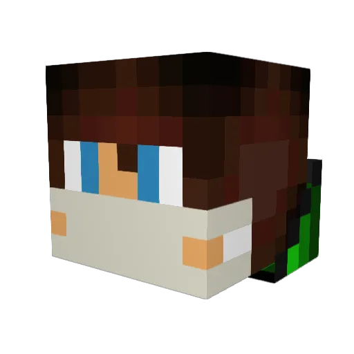Bohnensauger Minecraft avatar head, 3D render