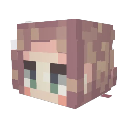 Bohnentee Minecraft avatar head, 3D render