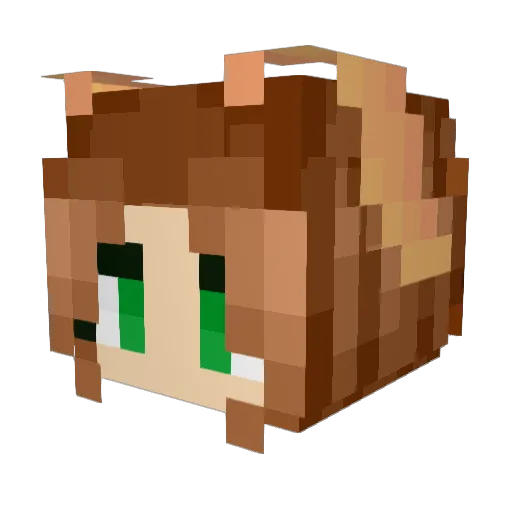 BohoCedarMoth Minecraft avatar head, 3D render
