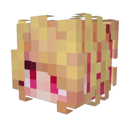Boi1000 Minecraft avatar head, 3D render