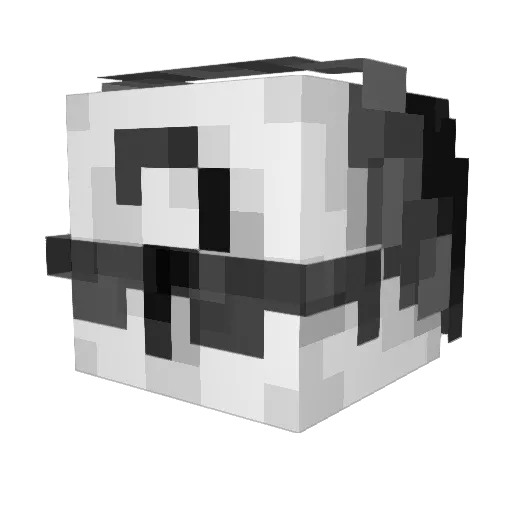 BoiRoast Minecraft avatar head, 3D render